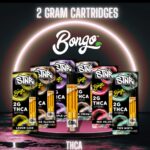 STNR - BONGO 2g THCA Cartridge